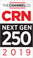 The Channel Co. CRN Next Gen 250 2019 award