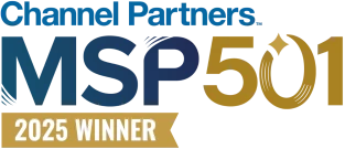 MSP501 2025 winner